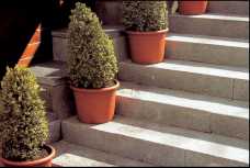 Treppen